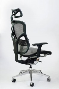 Spinergo Optimal